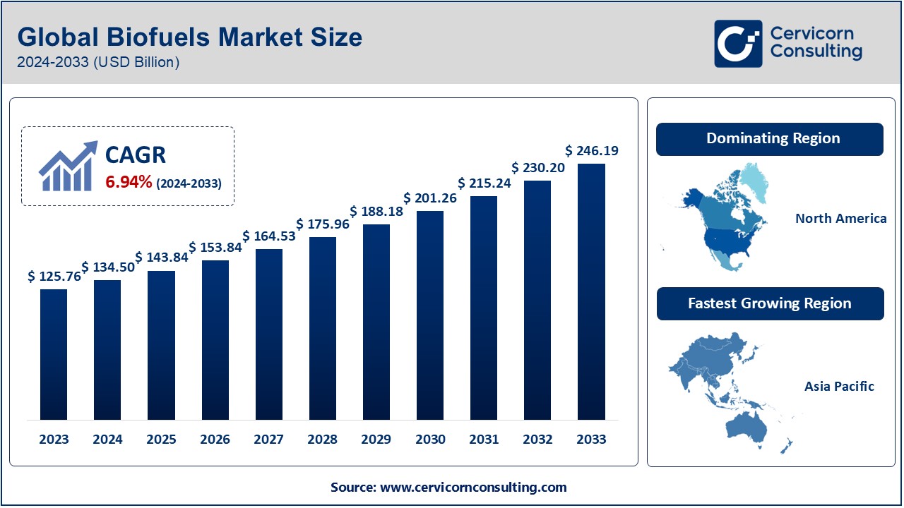 Biofuels Market to Reach USD 246.19 Bn by 2033, Growing 9.2%