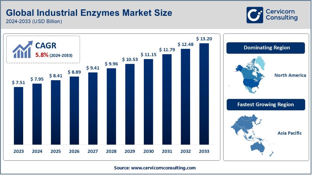 Industrial Enzymes Market