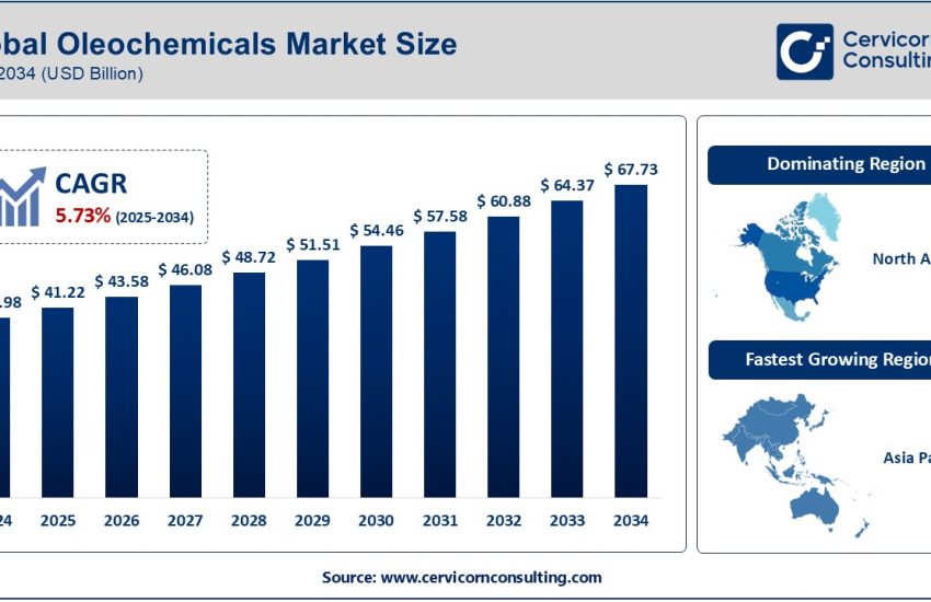 Oleochemicals Market