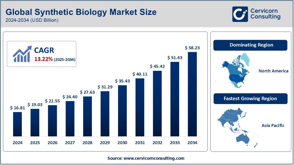 Synthetic Biology Market