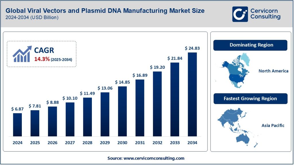 Viral Vectors and Plasmid DNA Manufacturing Market