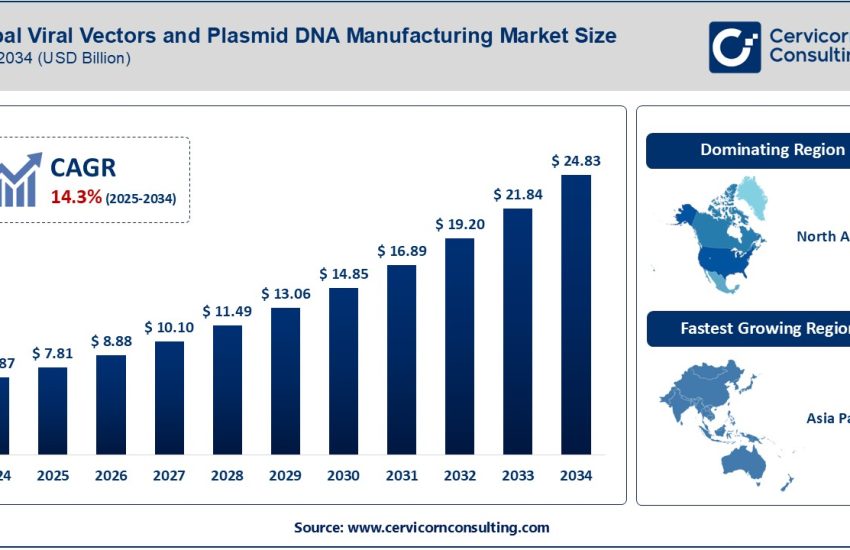 Viral Vectors and Plasmid DNA Manufacturing Market