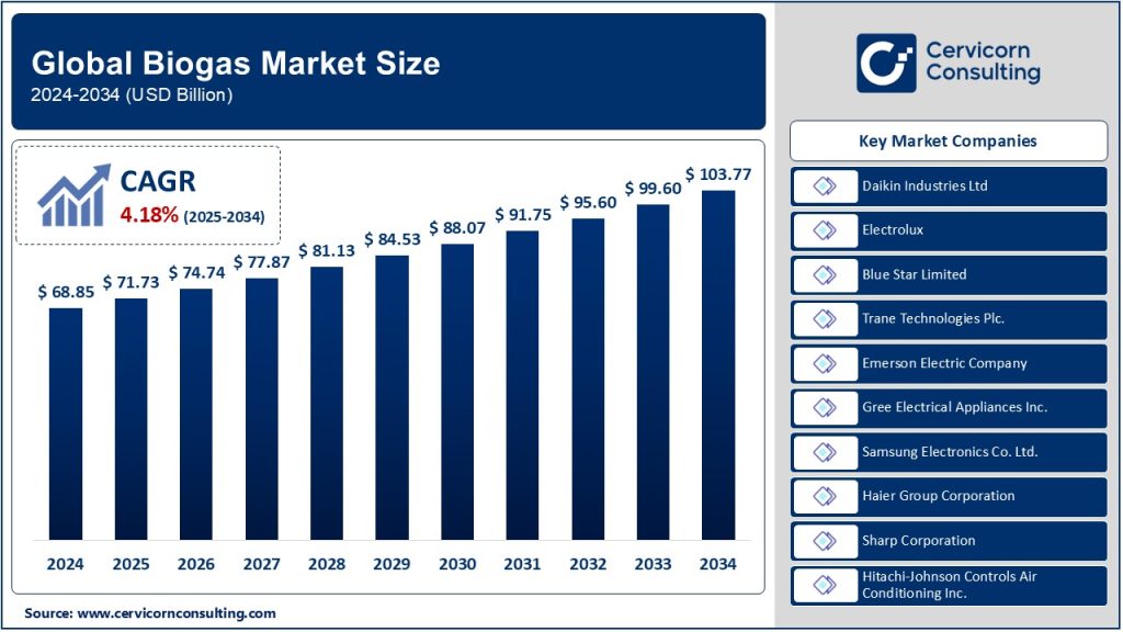 Biogas Market