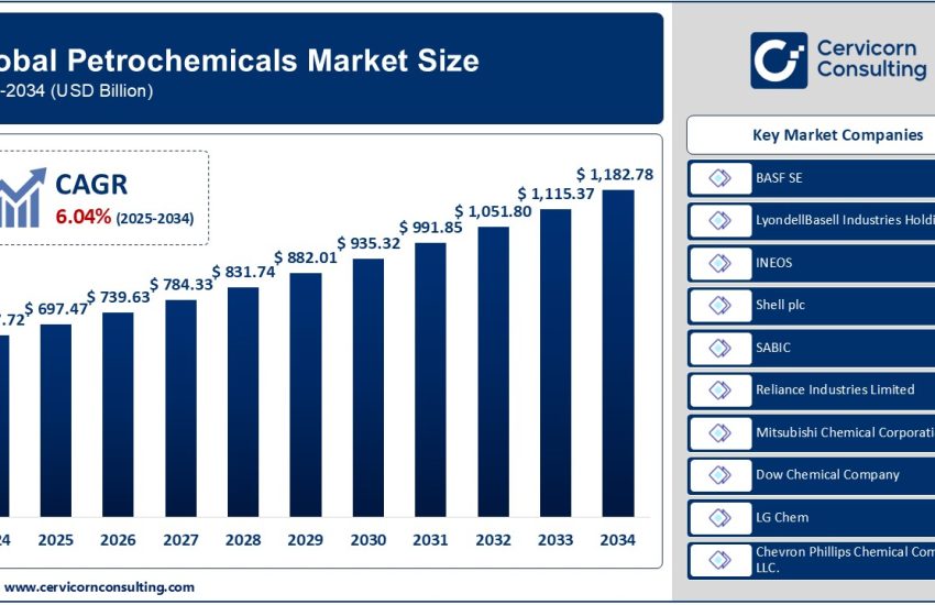 Petrochemicals Market