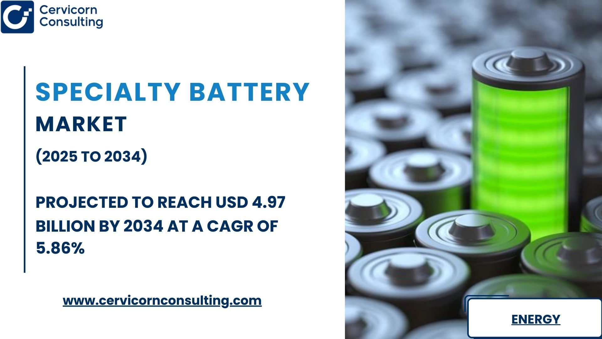 Specialty Battery Market