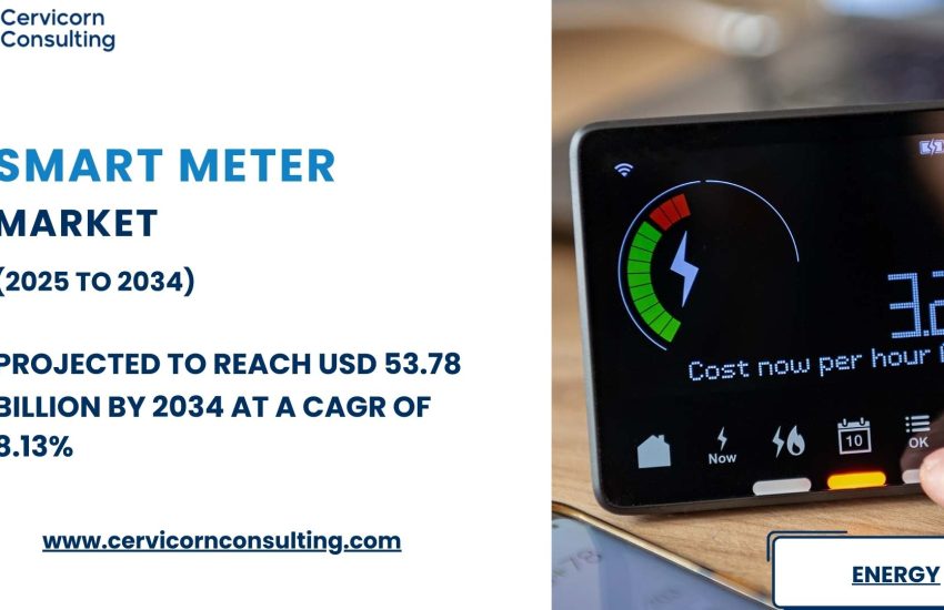 Smart Meter Market