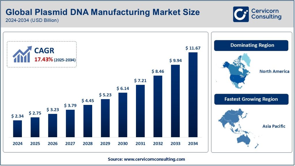 Plasmid DNA Manufacturing Market