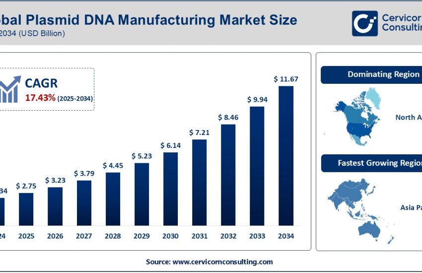 Plasmid DNA Manufacturing Market