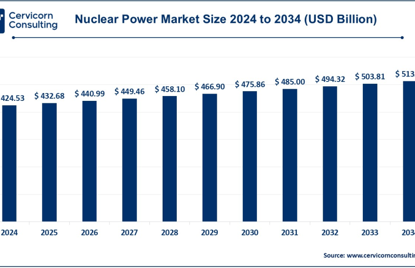 Nuclear Power Market