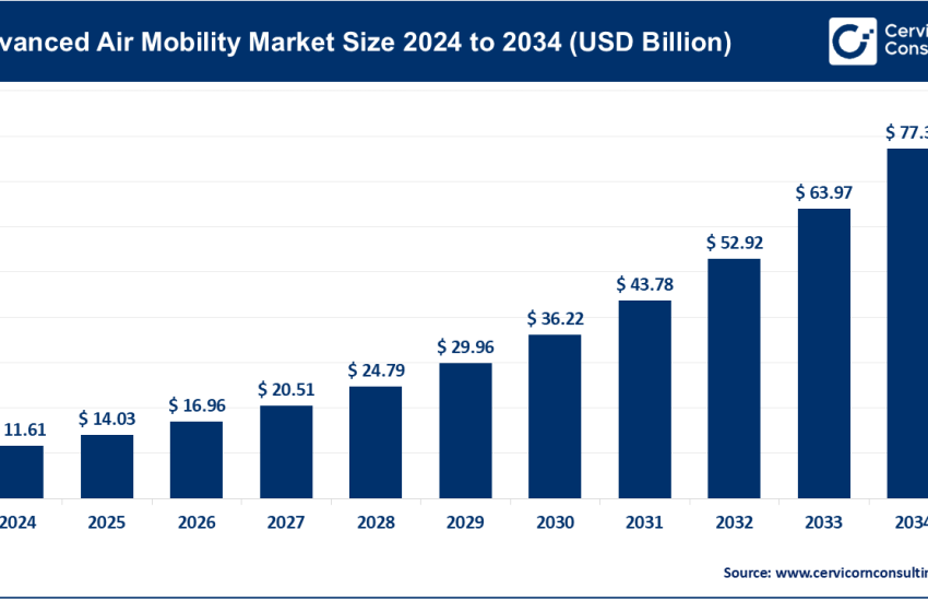 Advanced Air Mobility Market