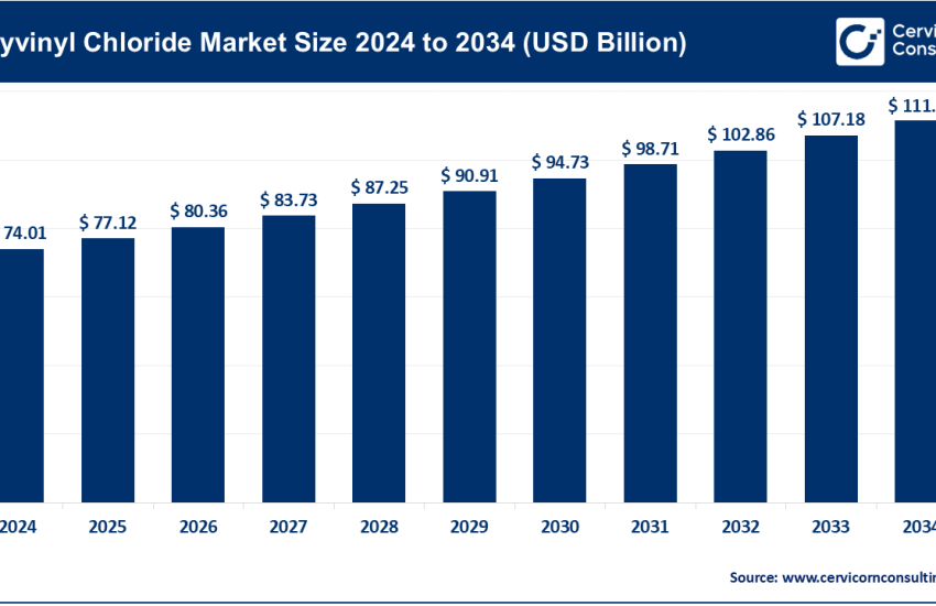 Polyvinyl Chloride Market