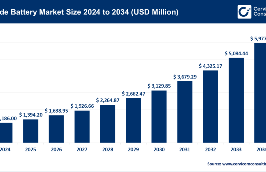 Blade Battery Market