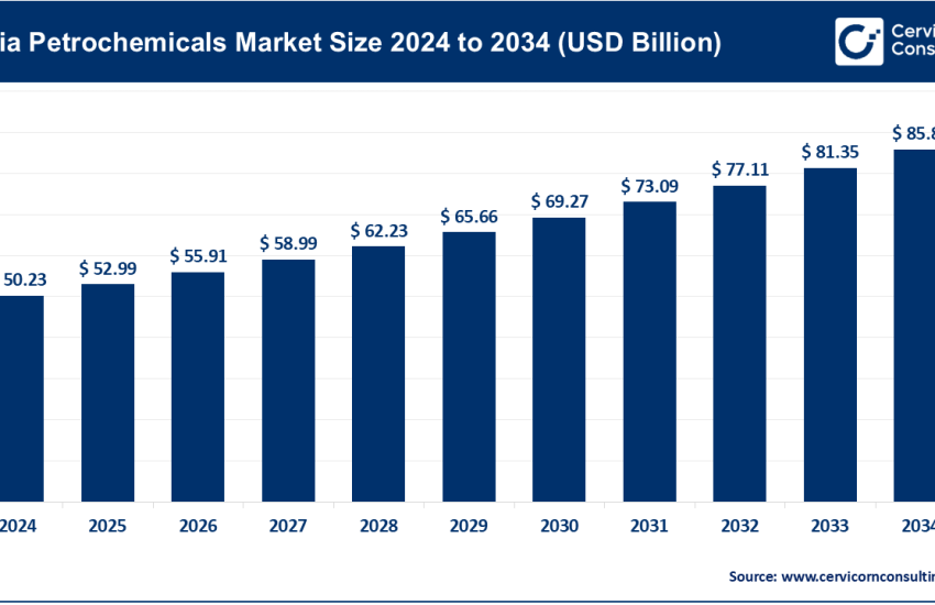 India Petrochemicals Market