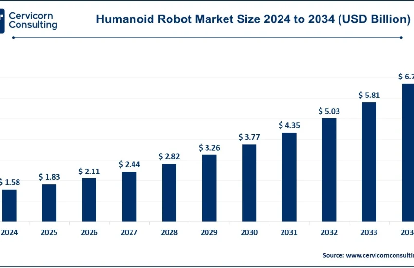Humanoid Robot Market