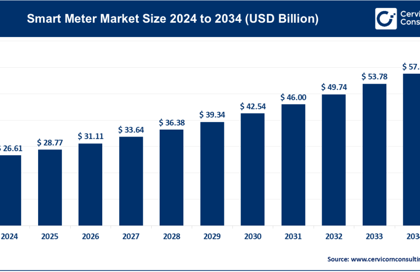 Smart Meter Market