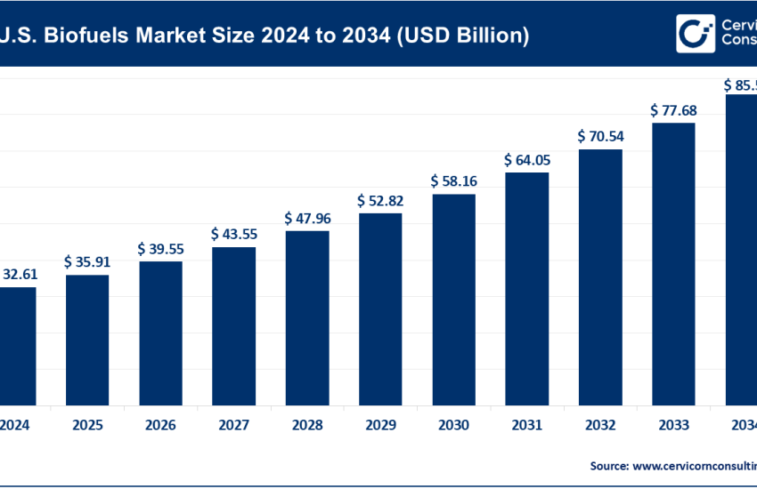 U.S. Biofuels Market