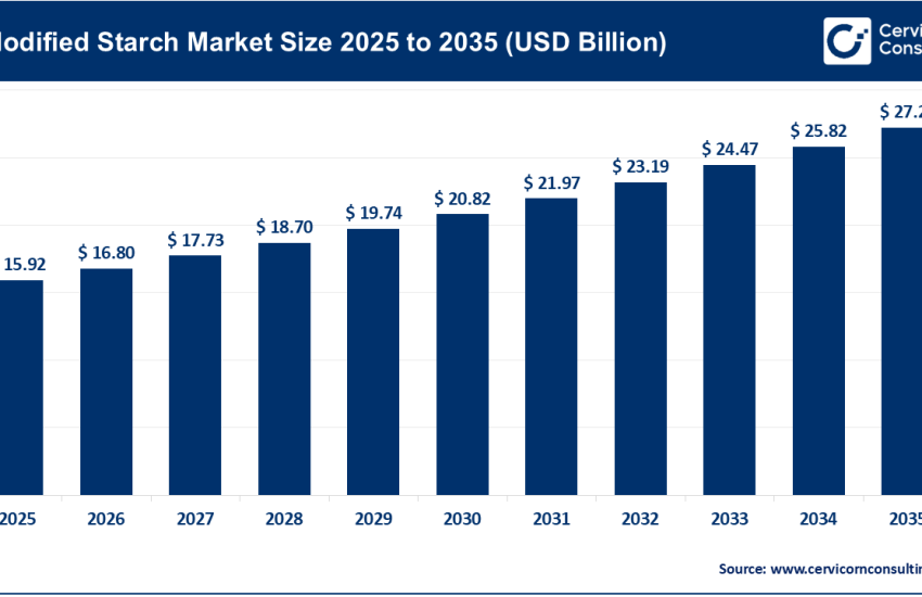 Modified Starch Market