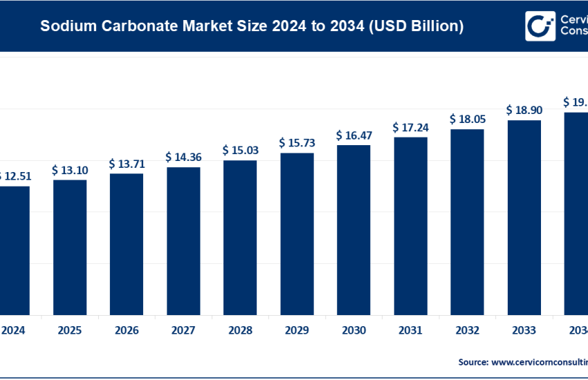 Sodium Carbonate Market