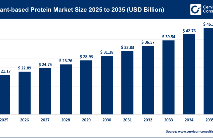 Plant-Based Protein Market