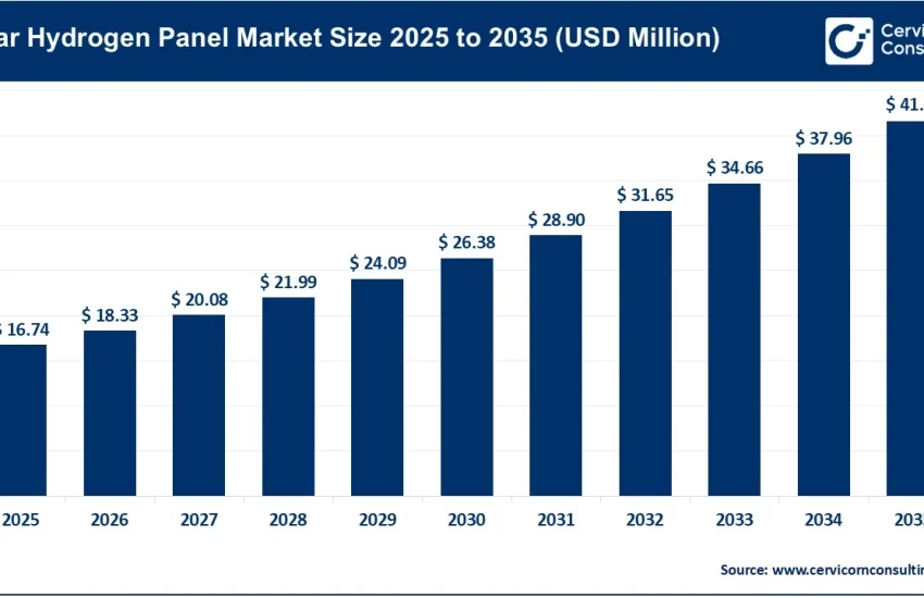 Solar Hydrogen Panel Market