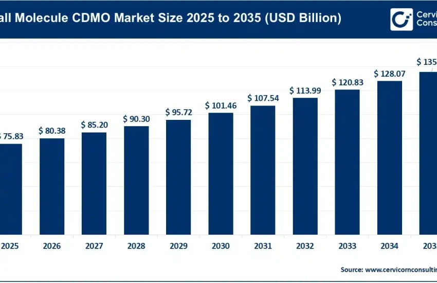 Small Molecule CDMO Market