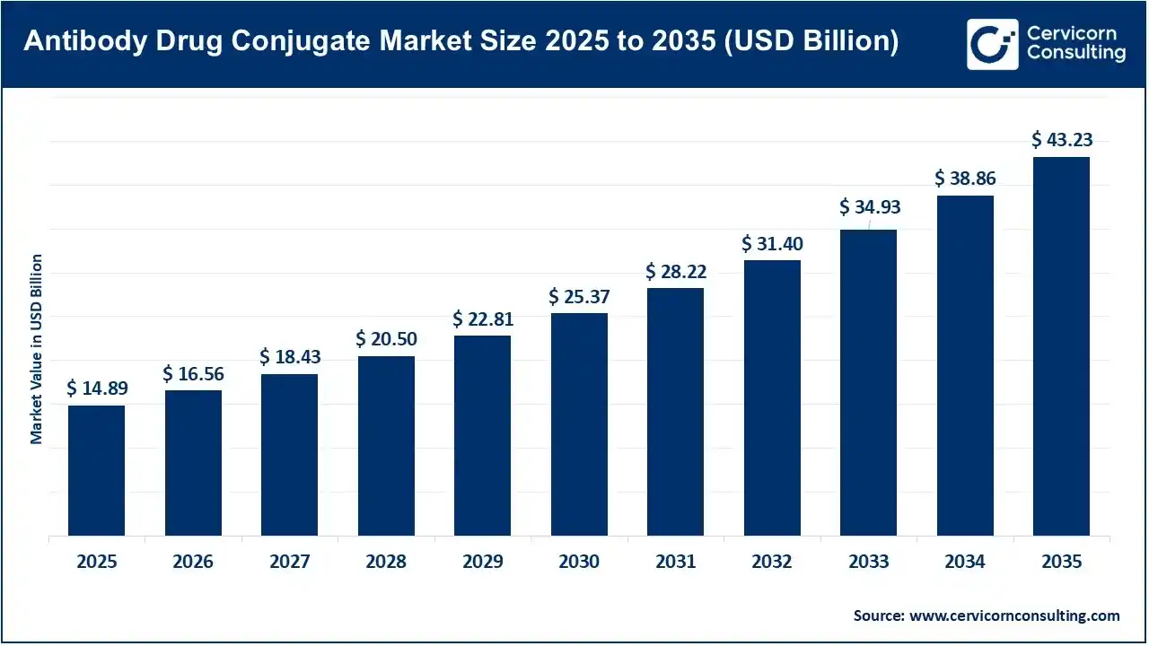 Antibody Drug Conjugate (ADC) Market Revenue, Trends, and Strategic Insights by 2035