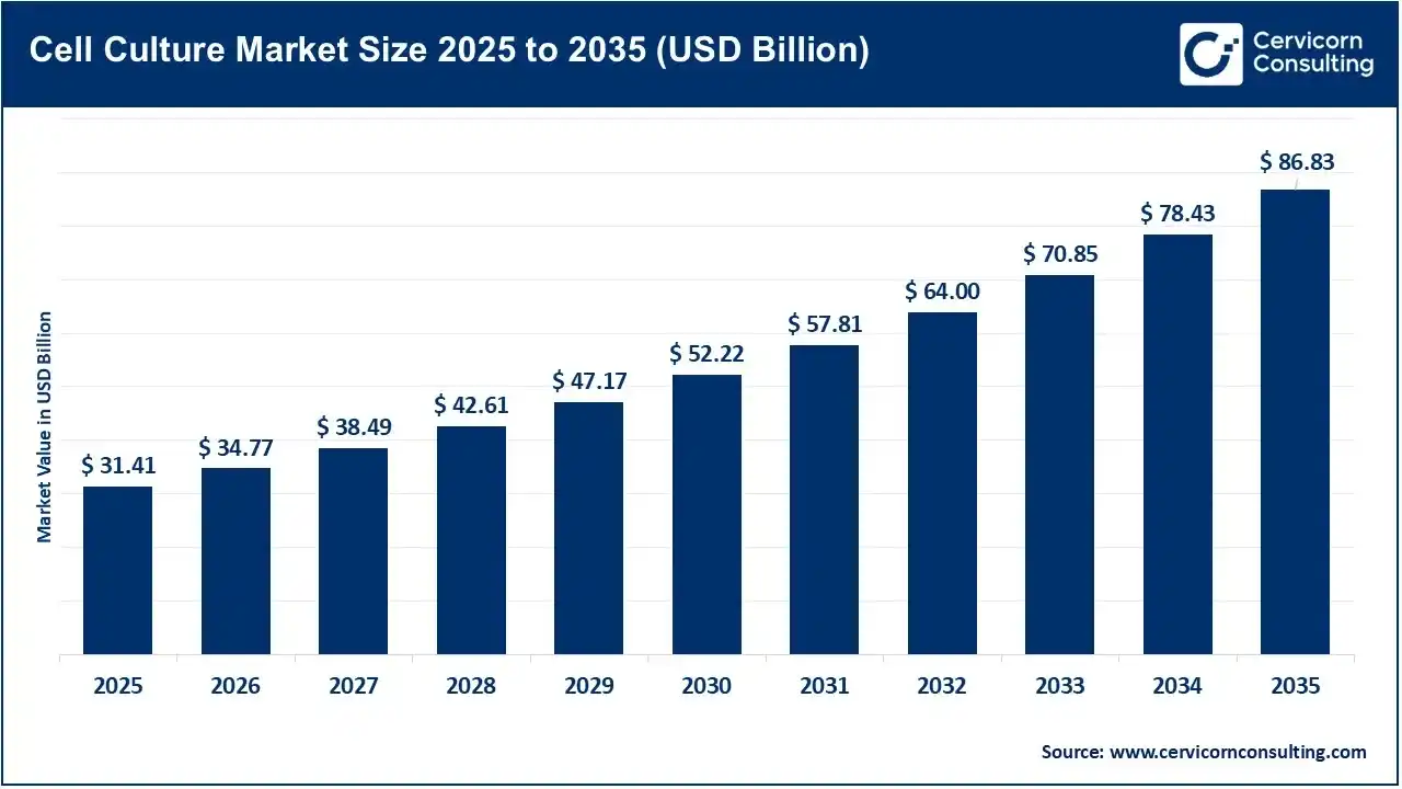Cell Culture Market Revenue, Trends, and Strategic Insights by 2035