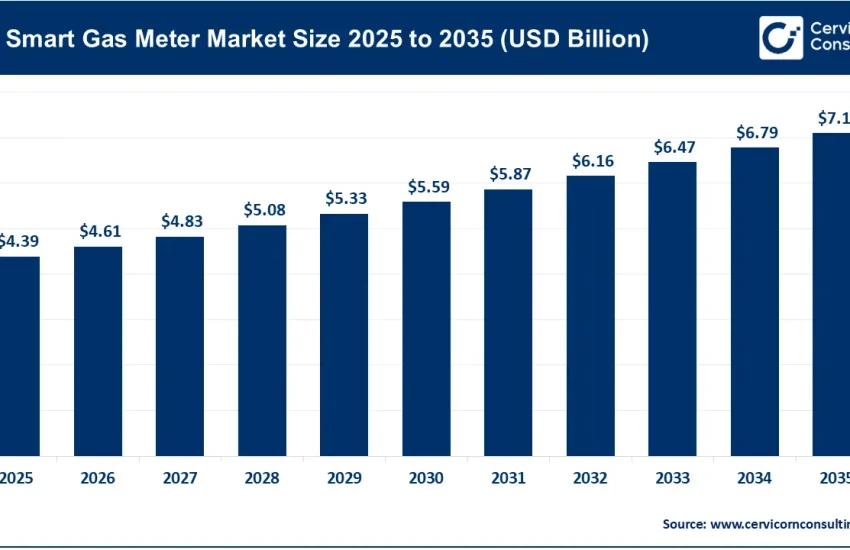 Smart Gas Meter Market